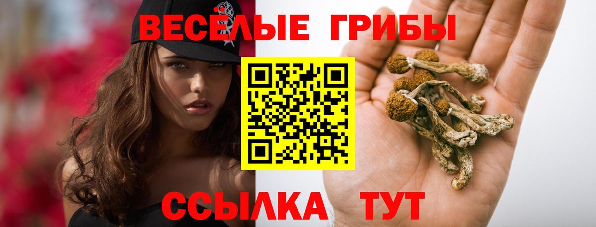 Галлюциногенные грибы GOLDEN TEACHER Карпинск