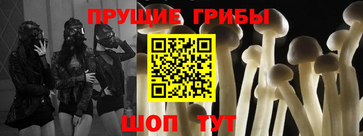 Карпинск  Галлюциногенные грибы Psilocybe  Вход с VPN 